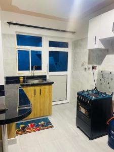 a kitchen with a stove and a sink at Texas One in Meru