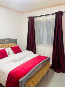 a bedroom with a bed with red pillows and a window at Texas One in Meru +12 photos
