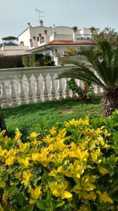 Zahrada ubytování Hotel Vittoria