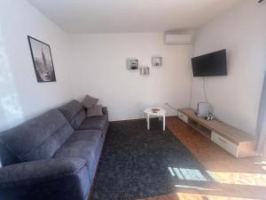Μια τηλεόραση ή/και κέντρο ψυχαγωγίας στο Apartmani Chiara