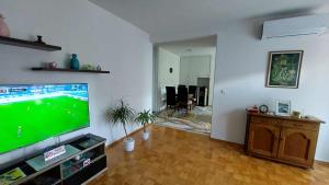 TV a/nebo společenská místnost v ubytování Apartman OMANOVIĆ
