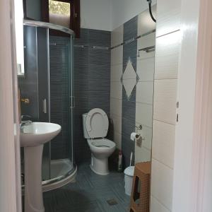a bathroom with a toilet and a sink and a shower at Pedi Breeze in Symi