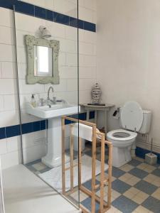 a bathroom with a toilet and a sink and a mirror at Sur les Ailes du Papillon-La Suite in Saint-Sauveur-en-Puisaye +43 photos
