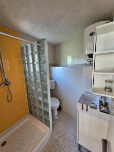 a small bathroom with a toilet and a sink at Căsuța de la linie in Moroeni