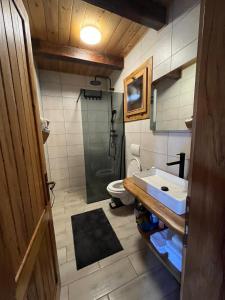a bathroom with a shower and a sink and a toilet at Oak House Mrežnica in Duga Resa