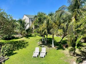 two white chairs sitting in a yard with palm trees at Coco apartamento centrico in Cozumel