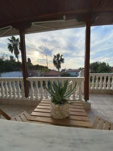 a potted plant sitting on top of a porch at Evilion- Potidaia- Halkidiki- 100m from the sea in Nea Potidaea