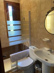 a bathroom with a toilet and a sink and a mirror at Hostal Altajo con Restaurante, Naturaleza & Descanso en el Alto Tajo in Peralejos de las Truchas