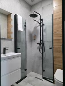 a bathroom with a shower and a toilet and a sink at W64 Apartamenty in Płock +51 photos