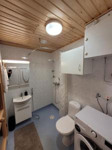 a small bathroom with a toilet and a sink at Studio from Downtown with Sauna in Kuusamo