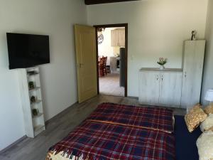 a living room with a rug on the floor and a flat screen tv at Ezüstfenyő Vendégház in Sárvár