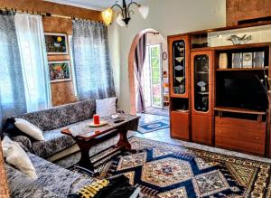 a living room with a couch and a tv at Sergios Rooms votonosi metsovo!!! in Votonósion