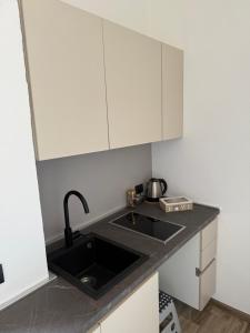 a kitchen with a sink and a counter top at BARBERA-DOLCETTO in Asti