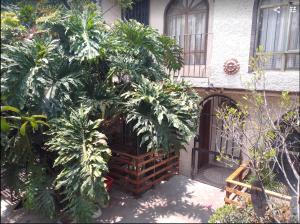 Zahrada ubytování Casa en Xochimilco para 5 personas ideal para el Mundial 2026