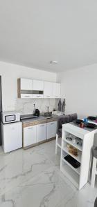Kuchyň nebo kuchyňský kout v ubytování Apartman Stefan Tomić-Srebrno jezero + 1 fotografie