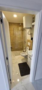 Koupelna v ubytování Apartman Stefan Tomić-Srebrno jezero