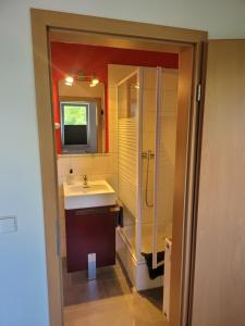 a bathroom with a sink and a shower and a mirror at Air 41 in Konstanz