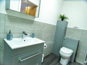 a bathroom with a sink and a toilet at Pine cottage with private hot tub in Upper Hulme +18 photos