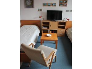 TV a/nebo společenská místnost v ubytování "Villa am Waldweg" Comfortable holiday residence