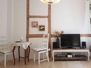 a living room with a television and a table with chairs at above painters studio in Pirna +19 photos