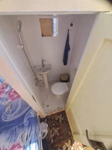 ルクソールにあるvalleyofthenileadventuresのトイレと洗面台のある小さなバスルーム