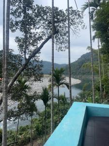 Landskap semula jadi dekat dengan perkhemahan ini