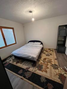 een slaapkamer met een bed en een tapijt op de vloer bij Buća Potok Aurrora in Sarajevo