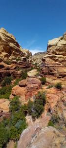 a view of a canyon with rocks and trees at Camping in Dana in Tufailah