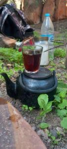 a cup sitting on top of a bird feeder at Camping in Dana in Tufailah