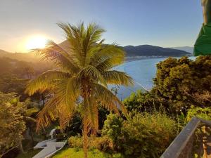 a palm tree sitting on top of a hill next to the ocean at PÉ NA AREIA APTO 708 in Ubatuba