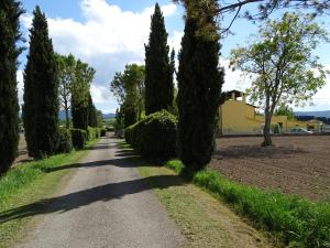 Príroda v okolí of the bed and breakfast