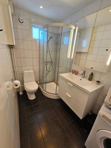 a bathroom with a shower and a toilet and a sink at Comfy and cozy apartment in Tromsø