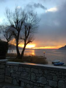 a tree sitting next to the water with a sunset at La Mergozzina in Mergozzo