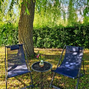 two chairs and a table in front of a tree at River Point, kuća za odmor in Žažina