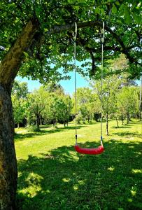 a red swing hanging from a tree in a park at River Point, kuća za odmor in Žažina