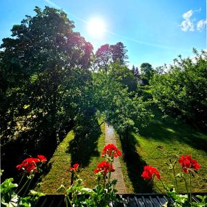 a path in a park with red flowers and trees at River Point, kuća za odmor in Žažina +18 photos