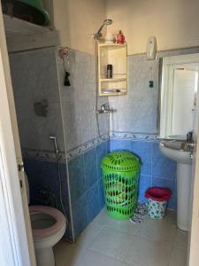 タンジェにあるNice apartment in Tangierのバスルーム(トイレ、緑のゴミ箱付)