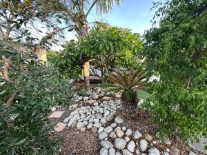 a garden with rocks and trees and palm trees at Suite Dreams Garden Dream Cottage in Panorama +12 photos