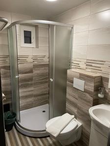 a bathroom with a shower and a toilet and a sink at Vila Orizont Straja in Straja +69 photos