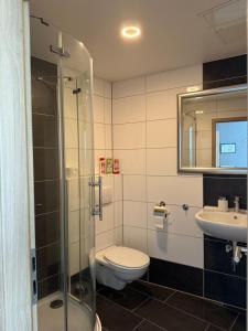 a bathroom with a toilet and a sink at CoBa in Baden-Baden