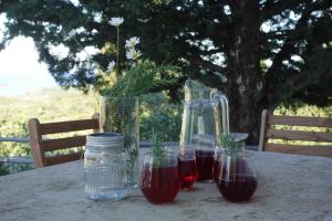 a table with three glasses of juice and a bottle at Solar Hill Home in Žrnovo +12 photos