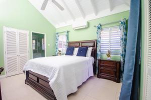 a bedroom with a large bed with blue and green walls at 3BR Retreat with Pool, Gym & Private Beach Access in Richmond Estate in Richmond +23 photos