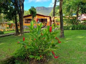 Villaflor Pousada外面的花园
