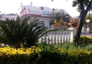Zahrada ubytování Hotel Vittoria