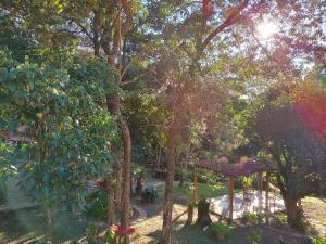 Villaflor Pousada外面的花园