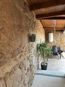 a stone wall with a potted plant on a patio at Villa Doce in Puentecesures
