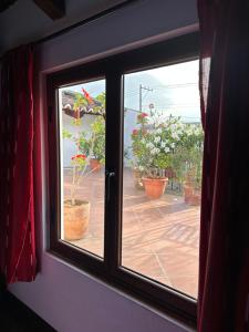 Gallery image of Casa Elena in Antigua Guatemala