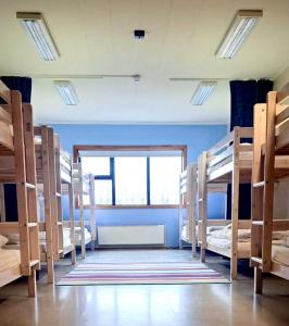 Paradise Cave Hostel & Guesthouse客房内的一张或多张床位