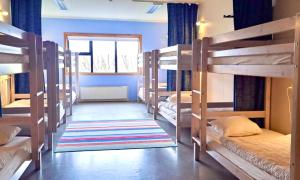 Paradise Cave Hostel & Guesthouse客房内的一张或多张床位