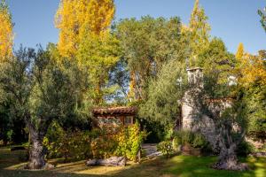 a stone house with trees in the yard at Aromos de Olivares in Chacras de Coria +6 photos